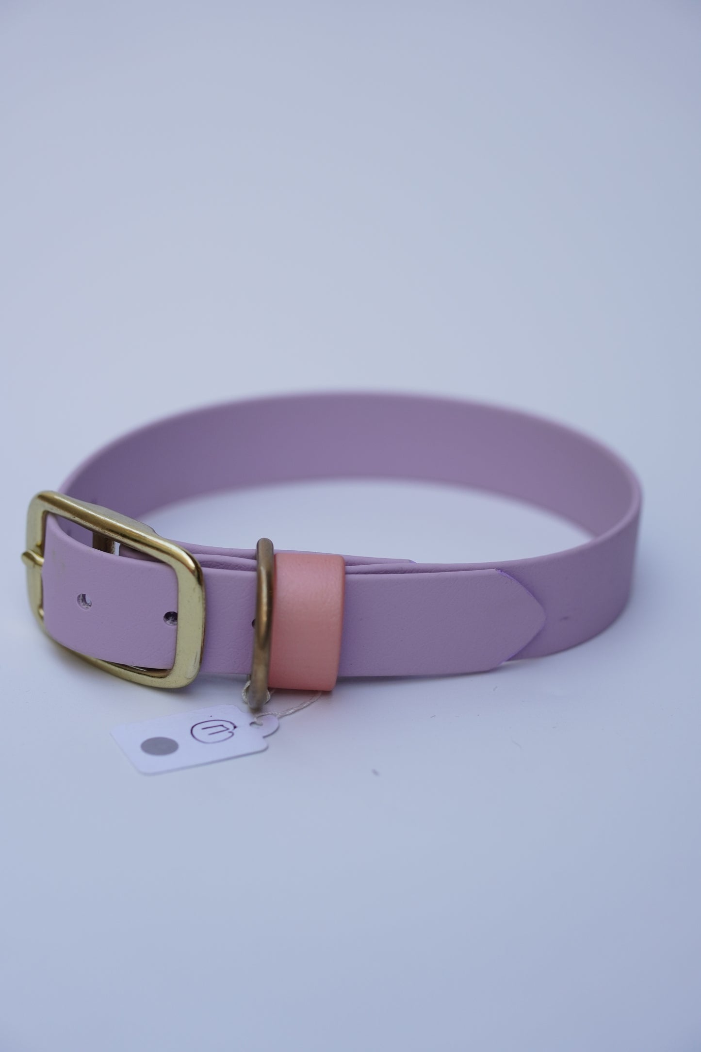 Biothane collar 25mm width (M)