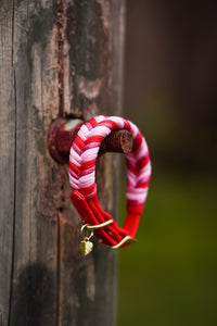 Red Sydney collar 25mm width (38-48cm)