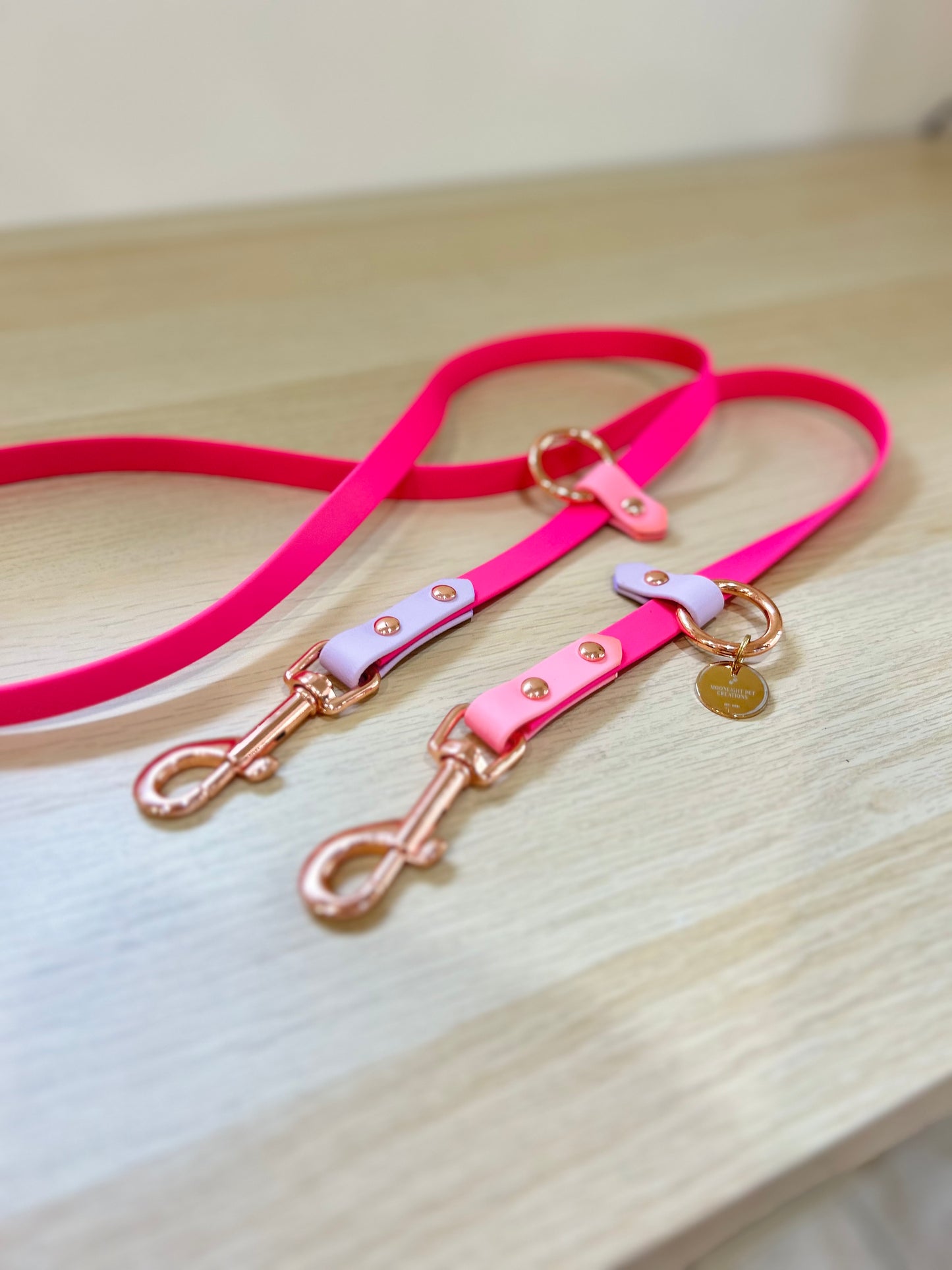 Hands-free biothane leash