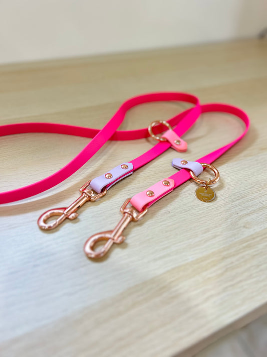 Hands-free biothane leash