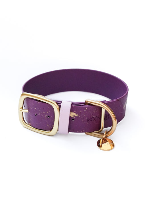 Custom 38mm Biothane® collar