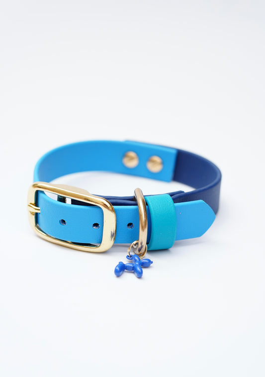 Biothane collar/  25-31cm