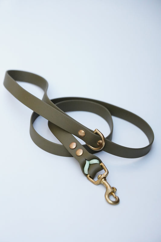 Biothane Leash 120cm
