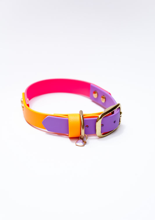Bright Biothane collar/  30-36cm