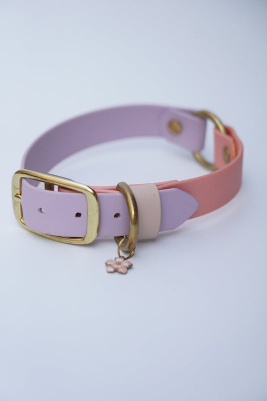 Biothane collar 25mm size M