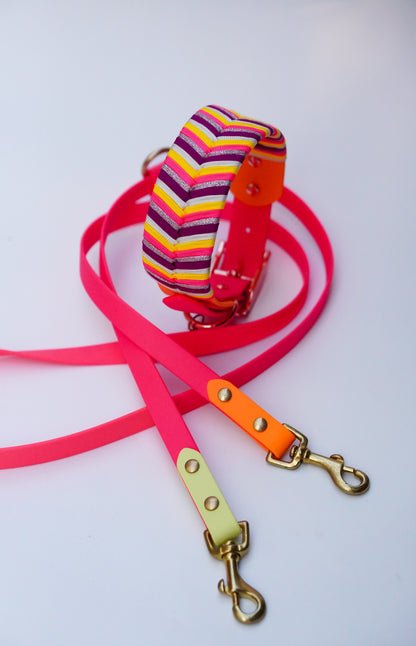 Sydney collars- Summer Combo