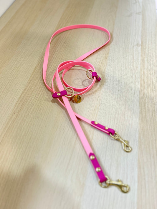 Hands-free biothane leash