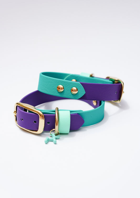 Teal & Purple collar/  x2