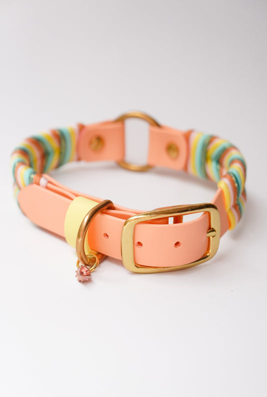 Sydney collar 25mm width (37-47cm)