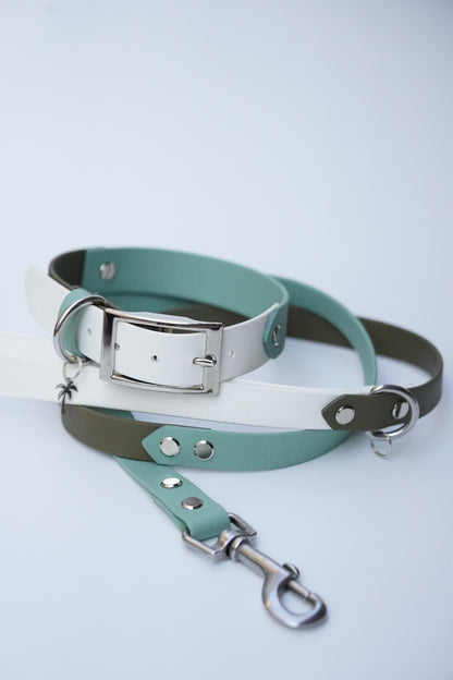 Collar & Leash set (35-45cm)