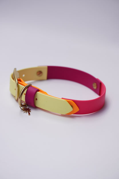 Prague collar 25mm width (M)