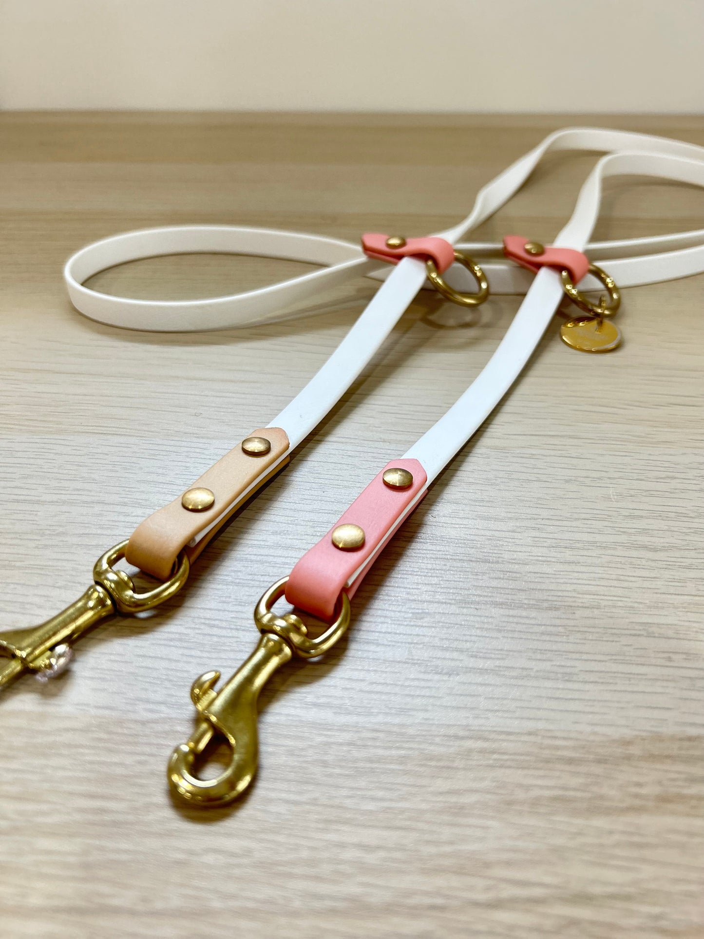 Hands-free biothane leash