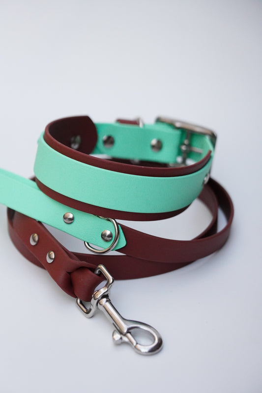 Collar & Leash set (35-45cm)