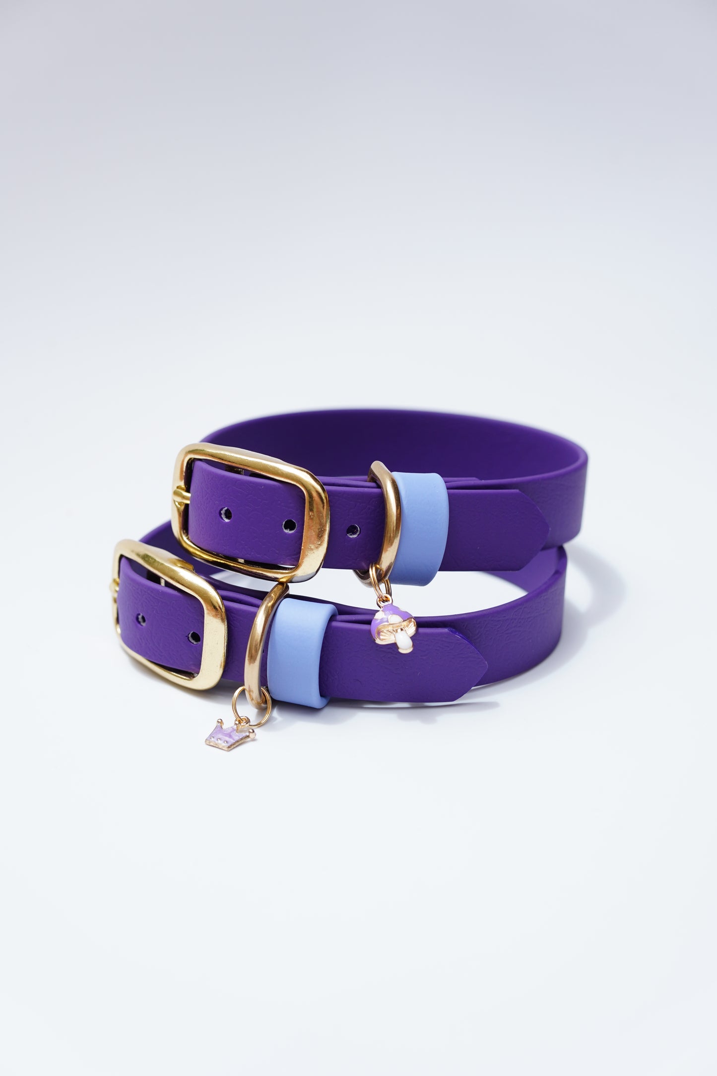 Purple collar — 26-32cm