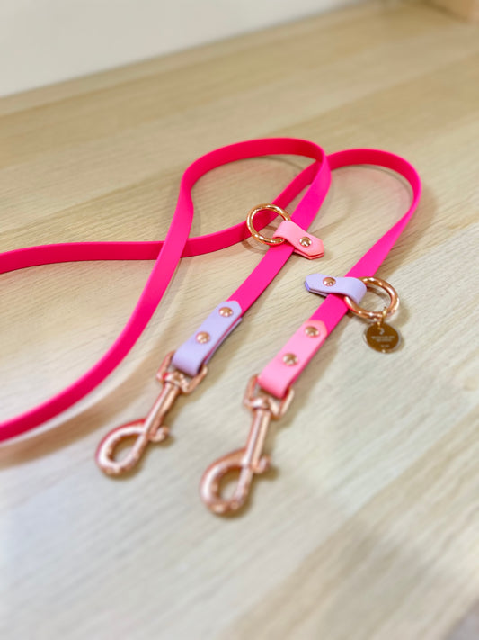 Hands-free biothane leash