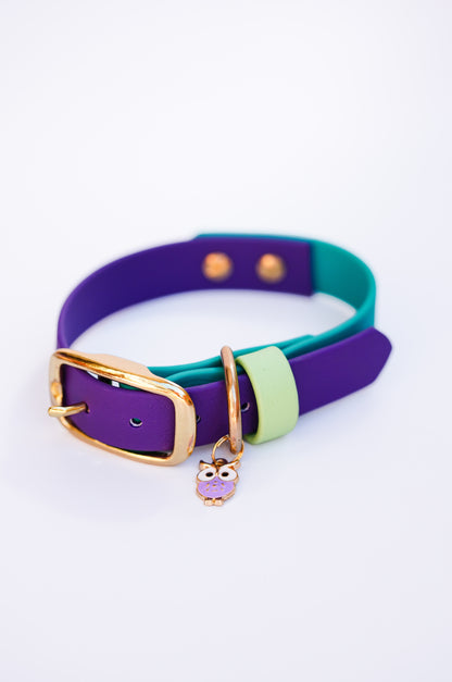 Flat collar/  25-31cm