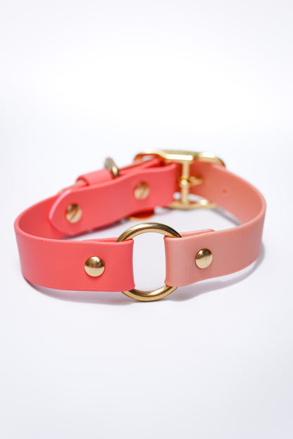 Flat biothane collar/  35-42cm
