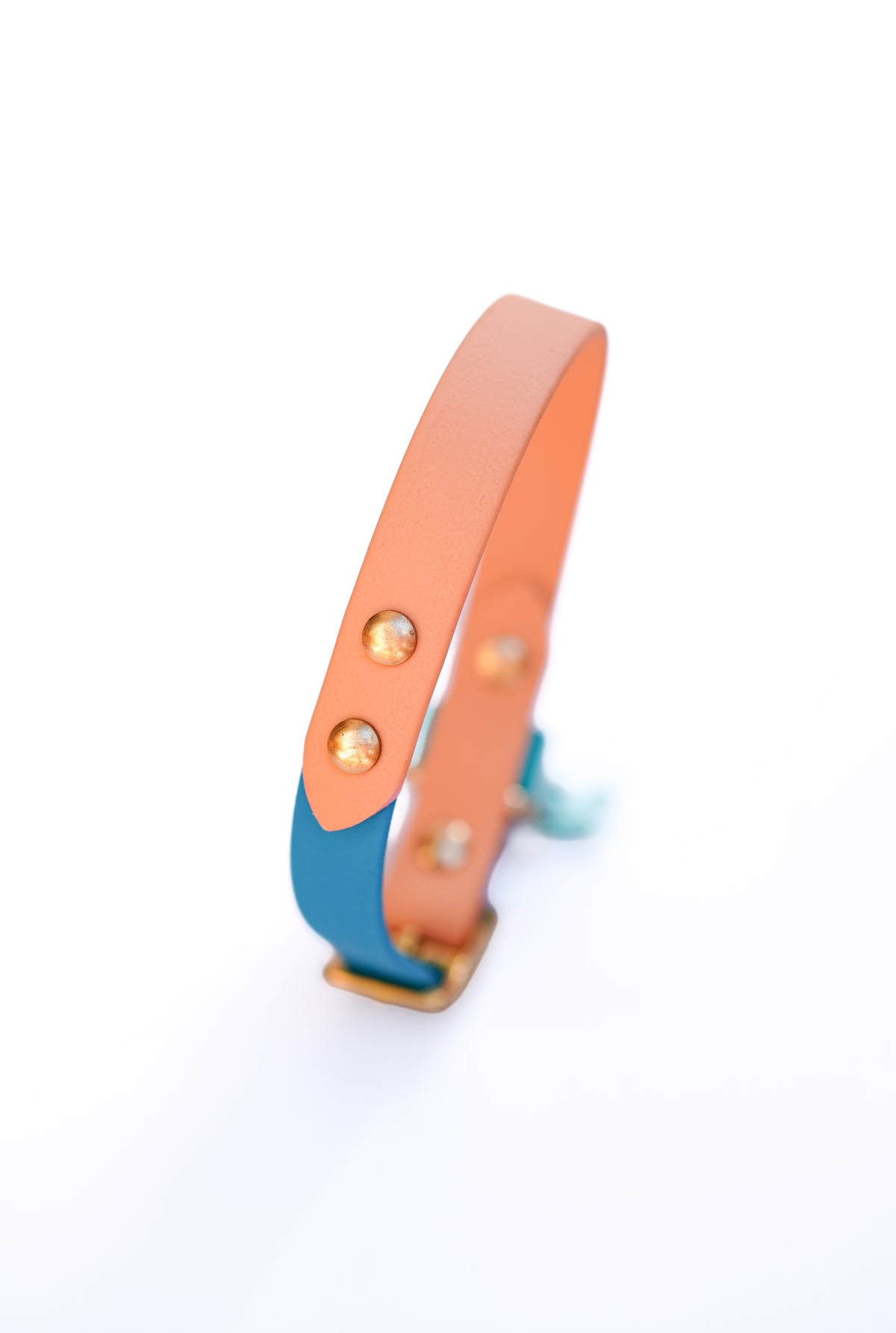 Flat collar/  30-35cm (waterproof webbing)