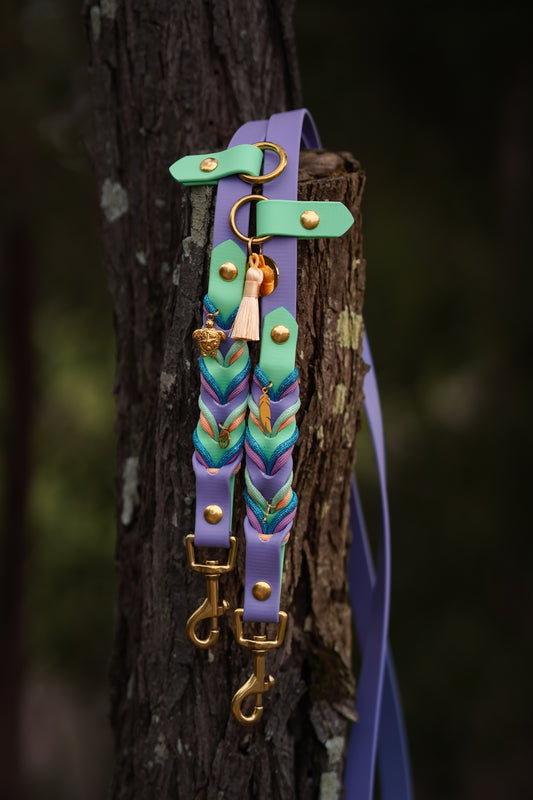 Twisted Biothane Hands-Free leash (NEW)