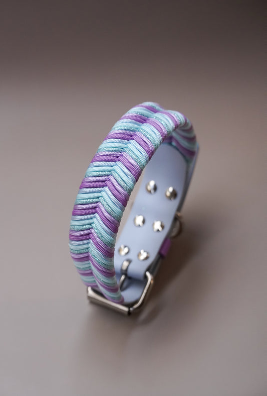 38mm width Sydney collar (40-50cm)