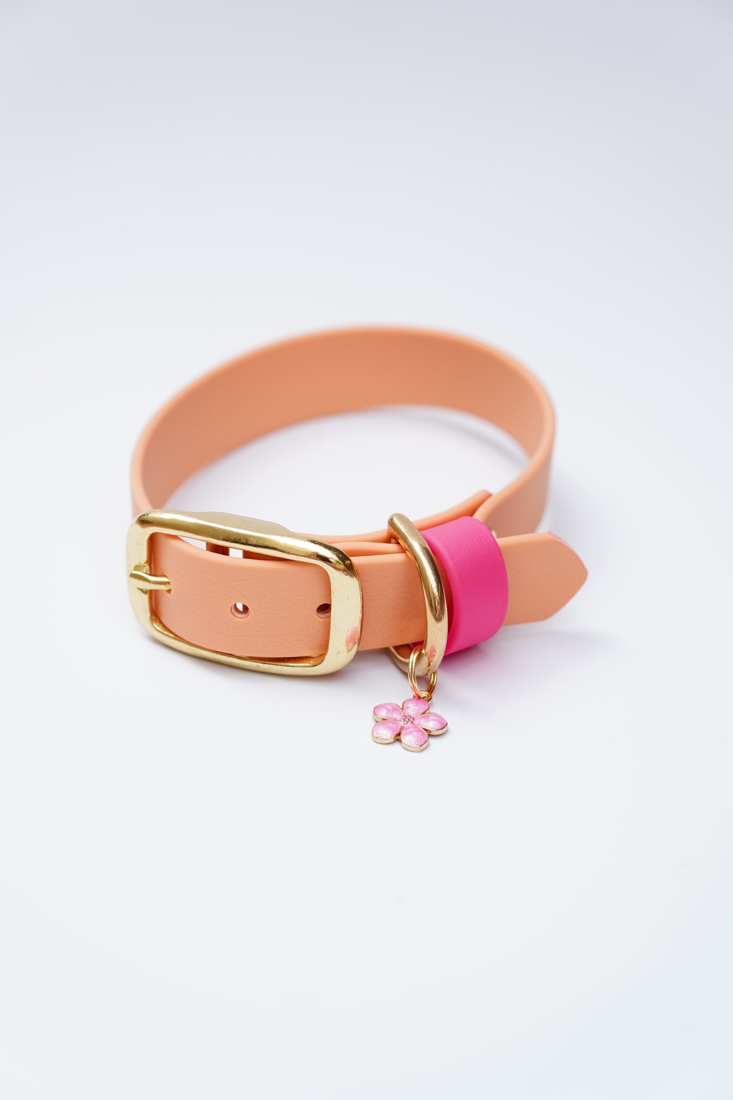 Flat collar/  22-29cm