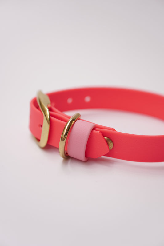 SD collar 20mm width (25-31cm) neon pink