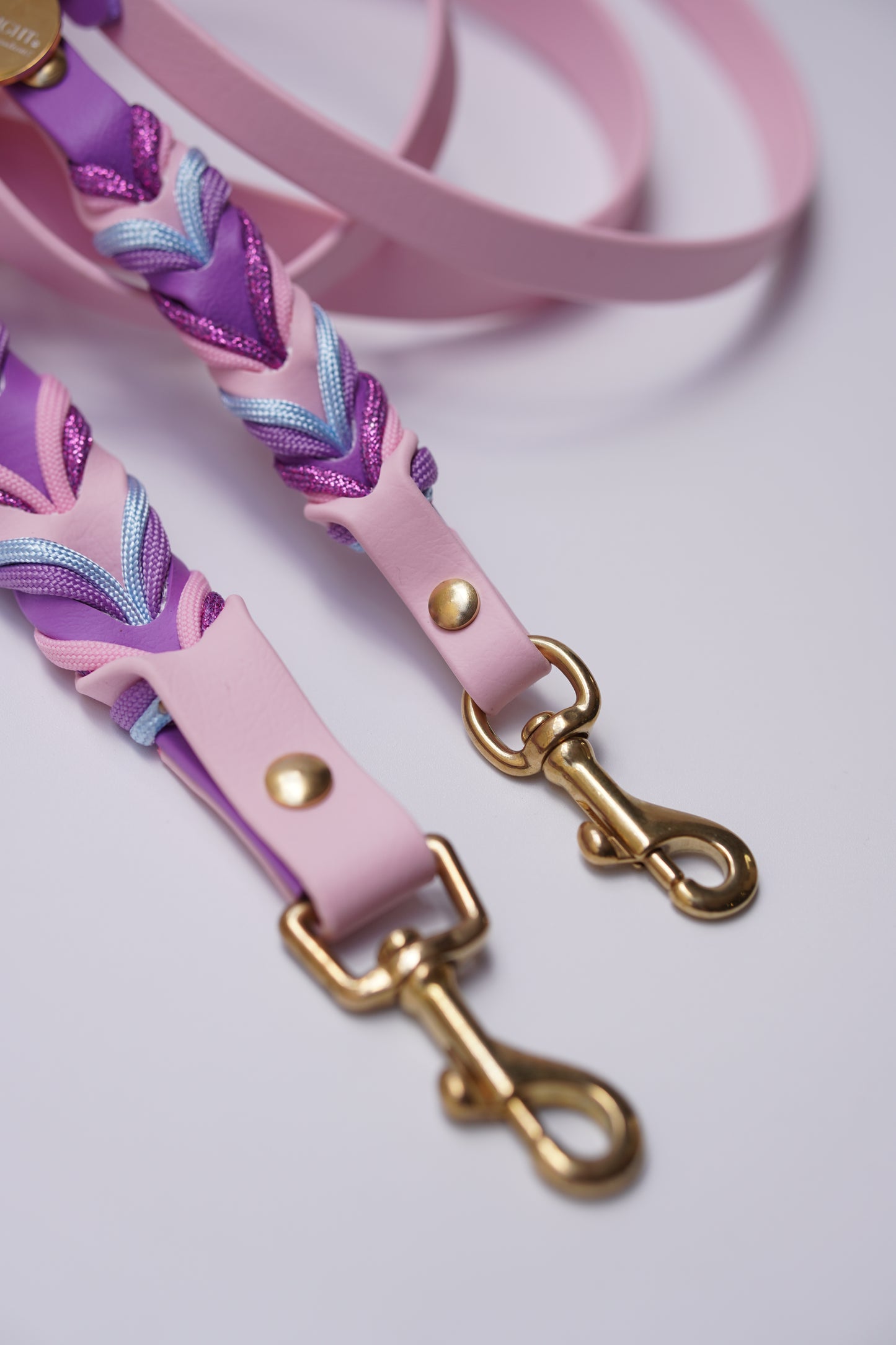 Twisted biothane leash