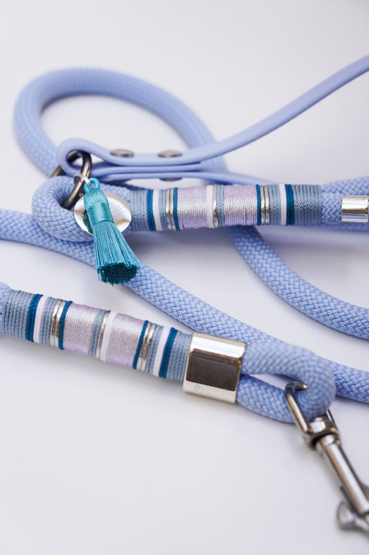 Blue rope leash