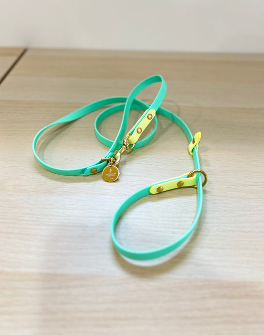 13mm width Slip lead