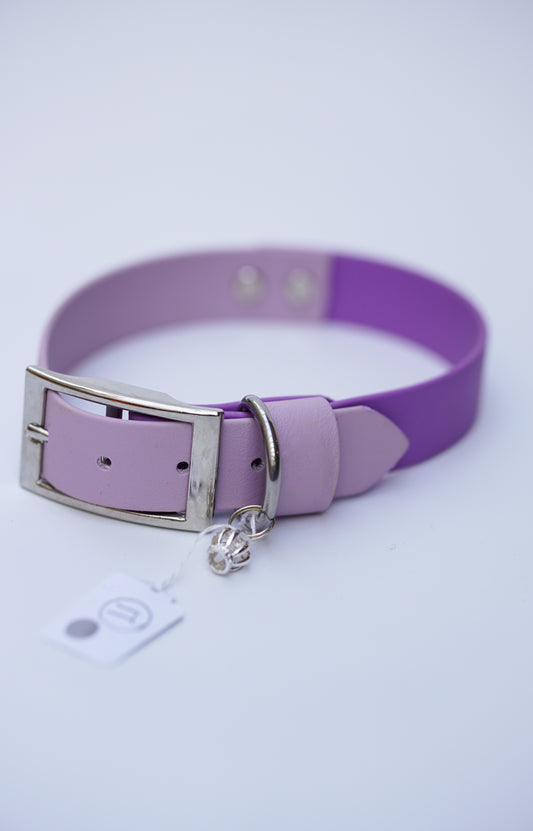 Prague collar 25mm width (M)