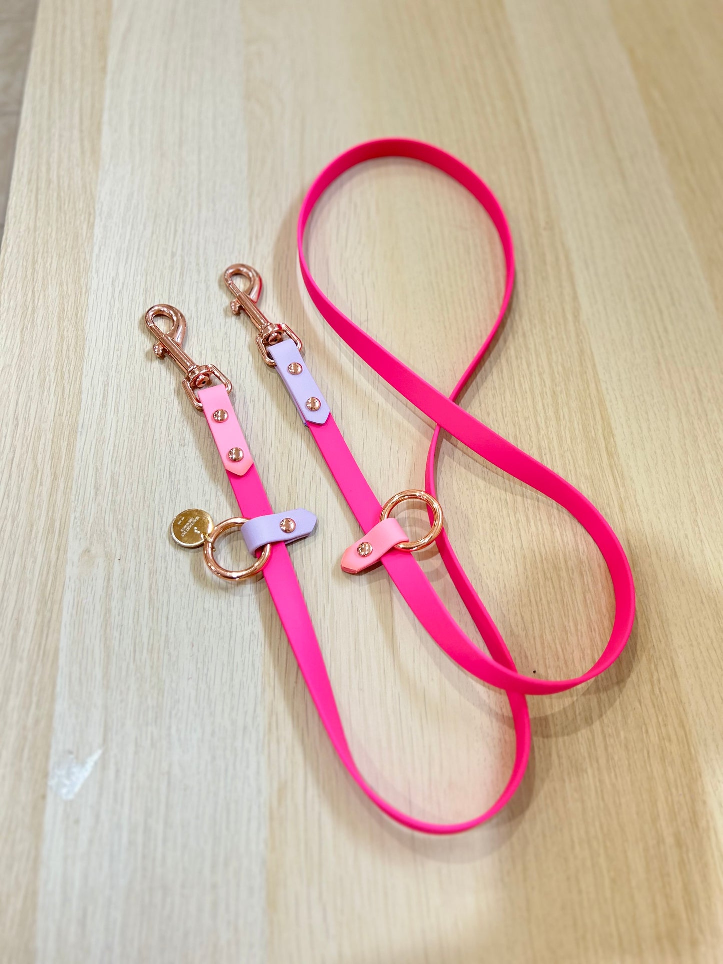 Hands-free biothane leash