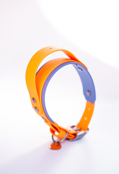 Paris collar with Handle & Name plate // 35-45cm