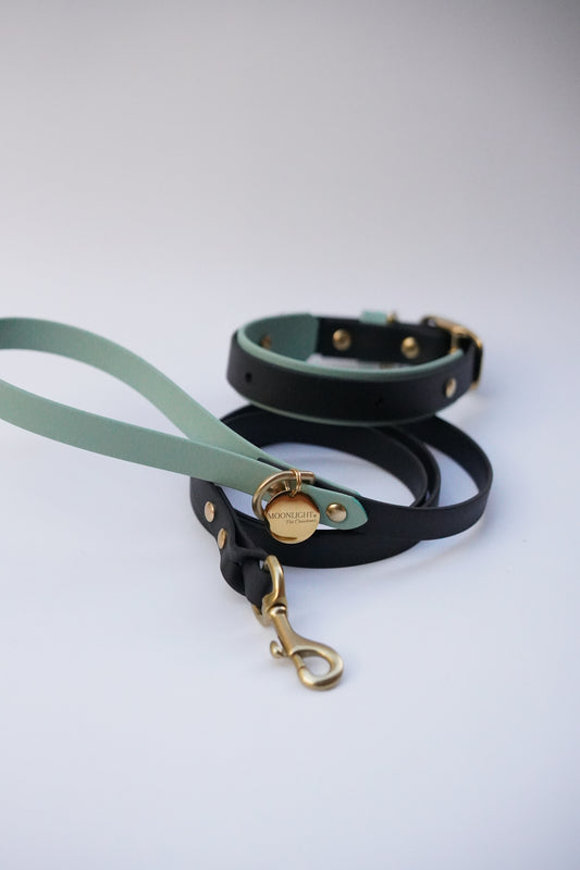 Collar and leash set ( Black & Sage)