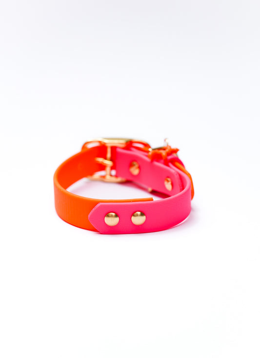 Biothane collar/  24-30cm