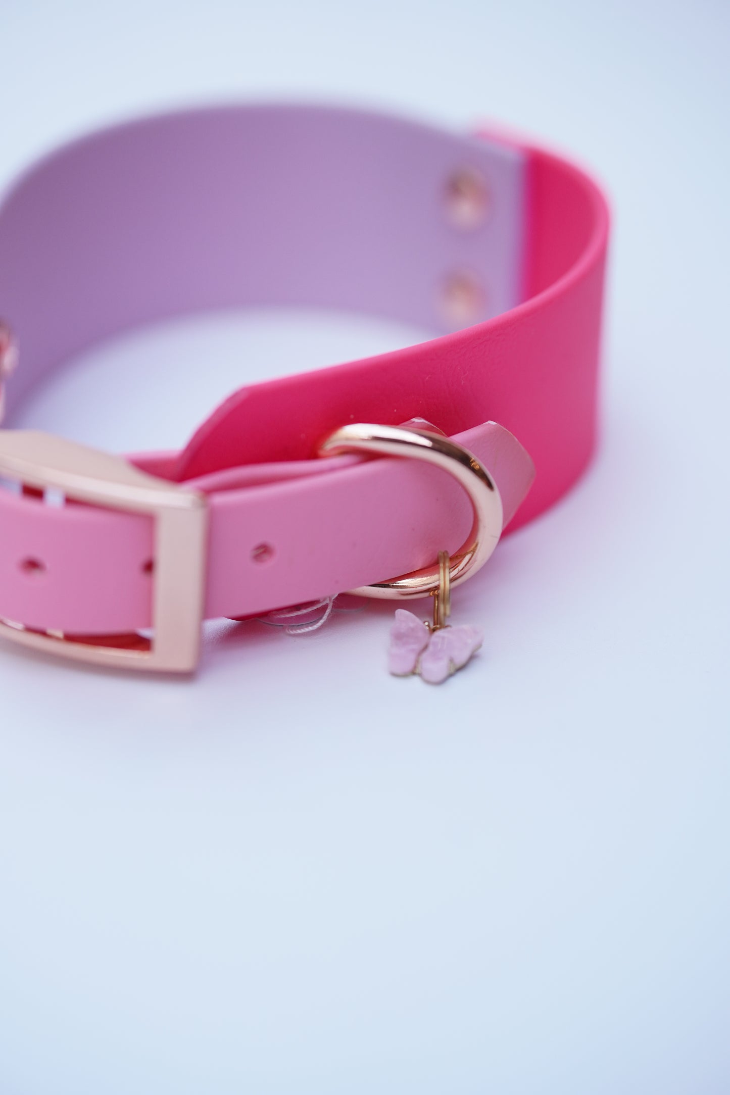 Prague collar 38/20mm width (S/M)