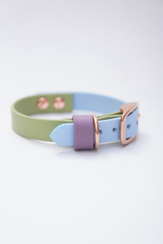 Two-tone San Diego collar 16 width (22-26cm)