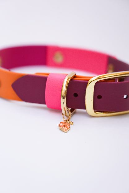 Prague collar 25mm width- 39-44cm