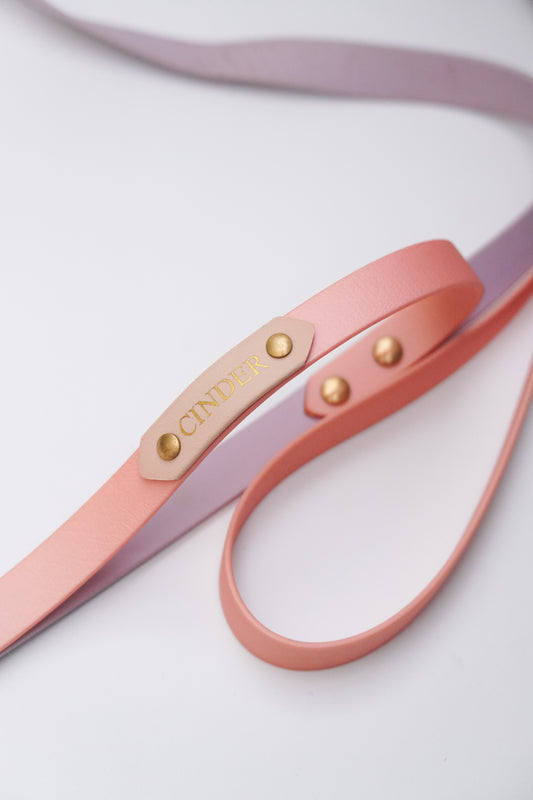 Collar & Leash set (36-46cm)