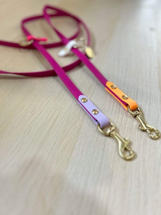 Hands-free biothane leash