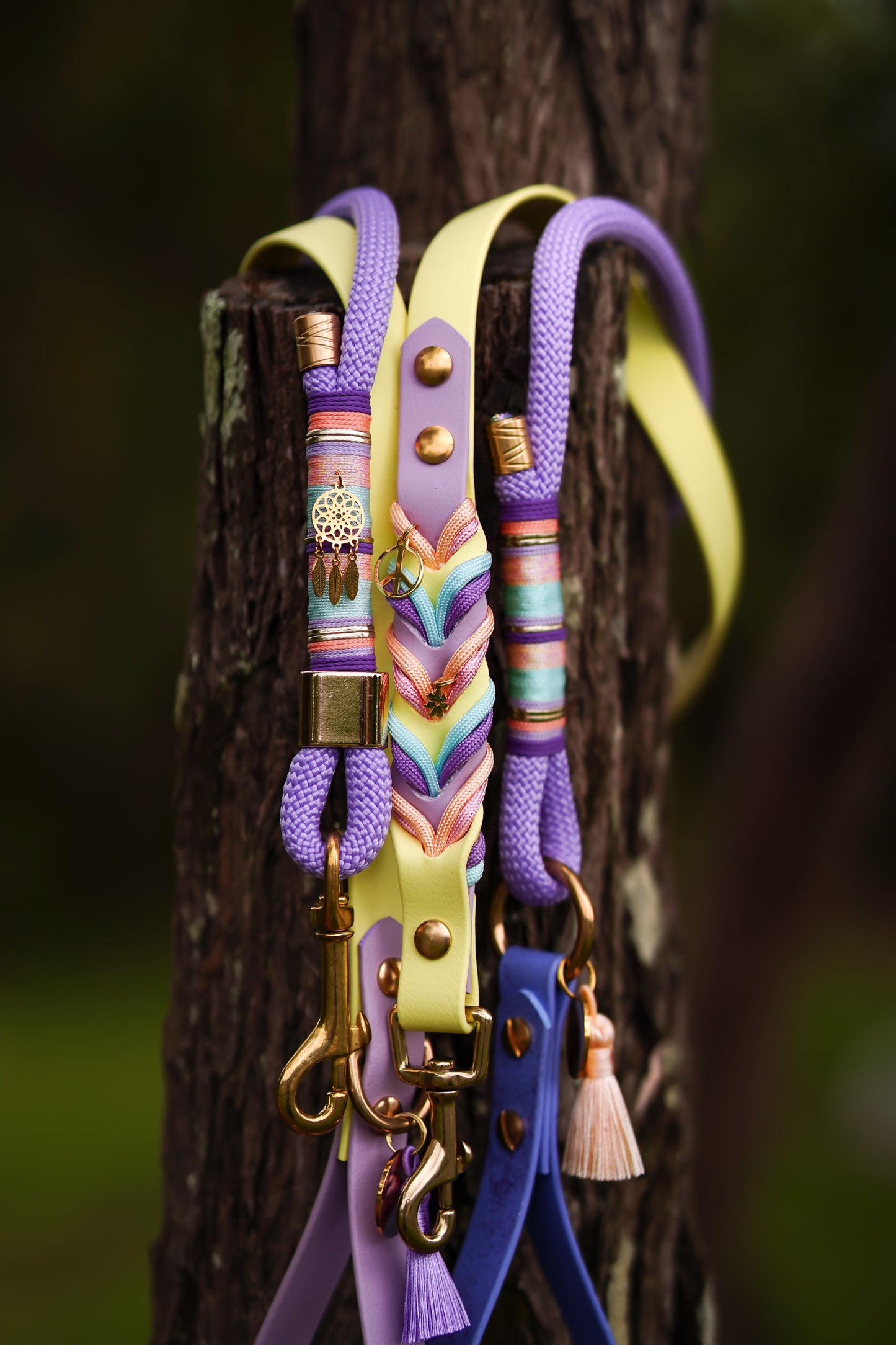 Twisted Biothane leash ( NEW )