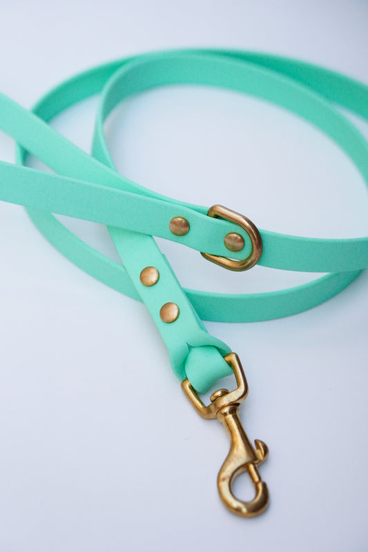 Biothane Leash 120cm