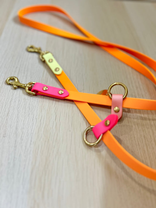 Hands-free biothane leash
