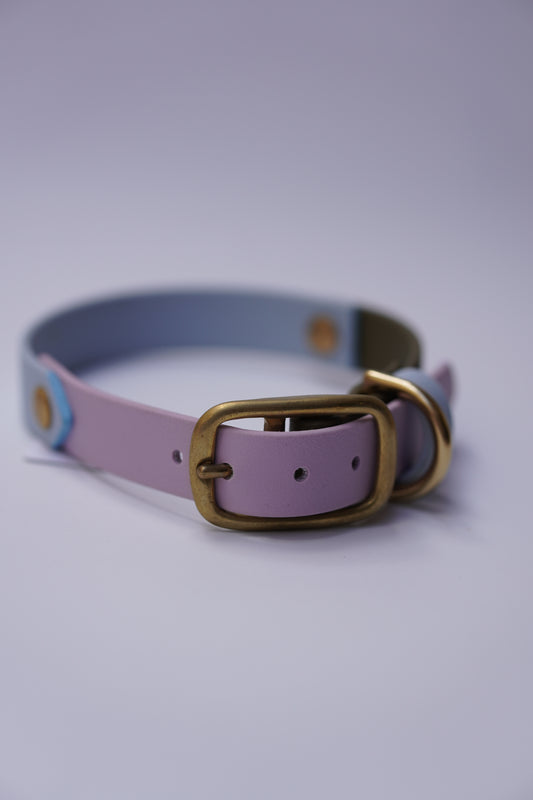 Prague collar 20mm width (S/M)