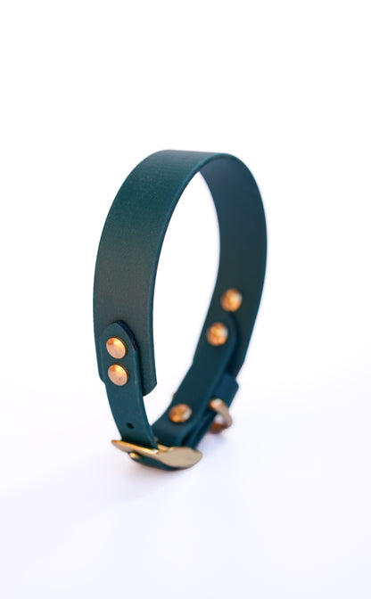 Size 28-32cm// DG Seville collar