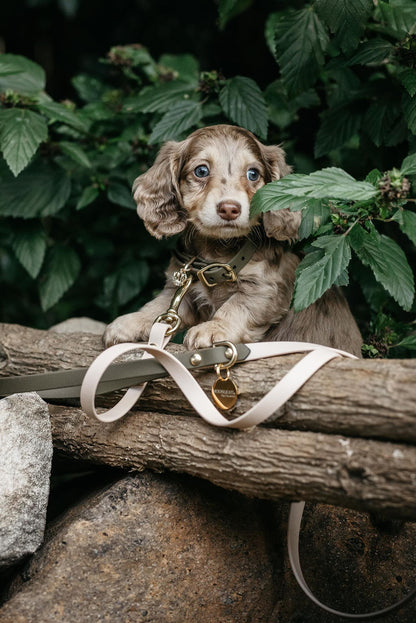 Puppy pack set