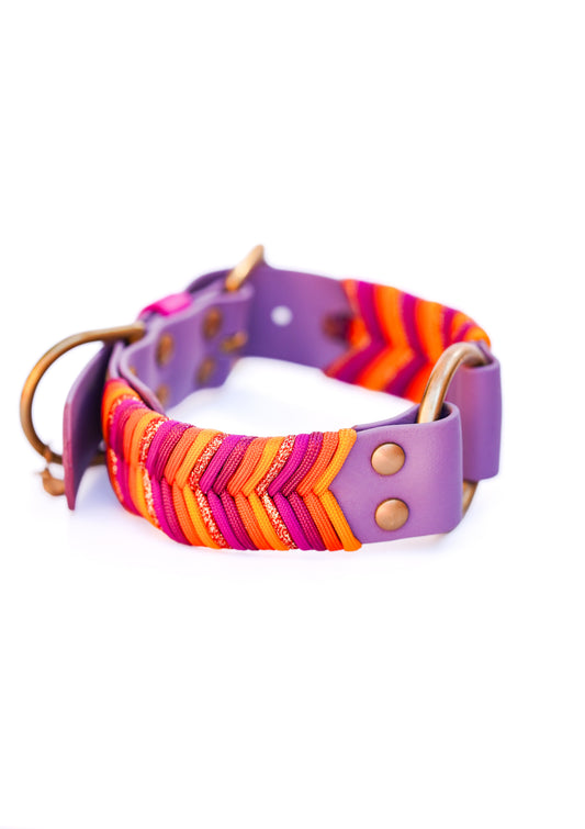 38mm width Sydney collar (40-50cm)