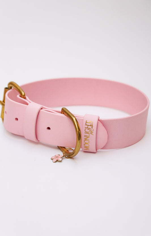 Biothane collar 38mm width (M/L)