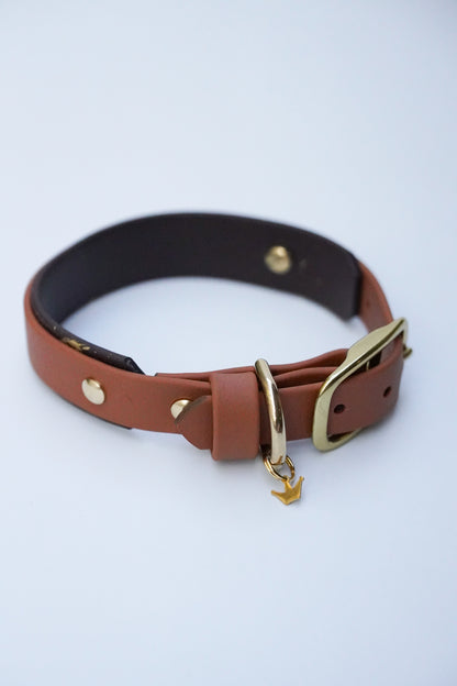 Paris collar size S (25-31cm)