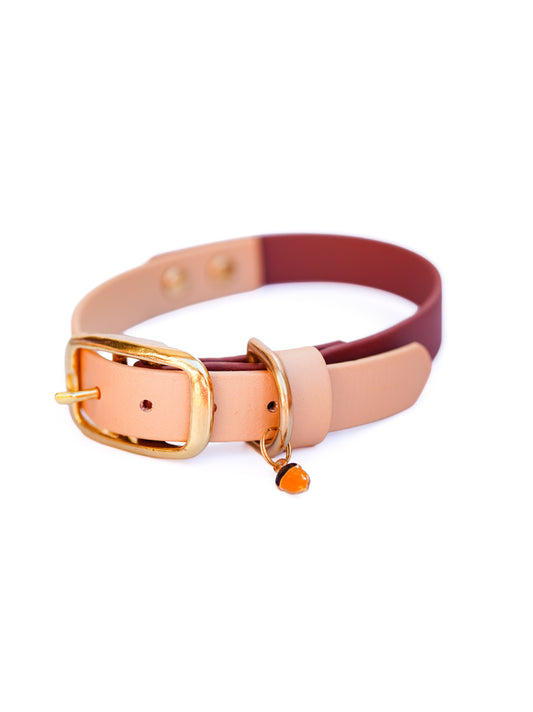 Flat collar/  30-35cm / Champagne & L.Brown