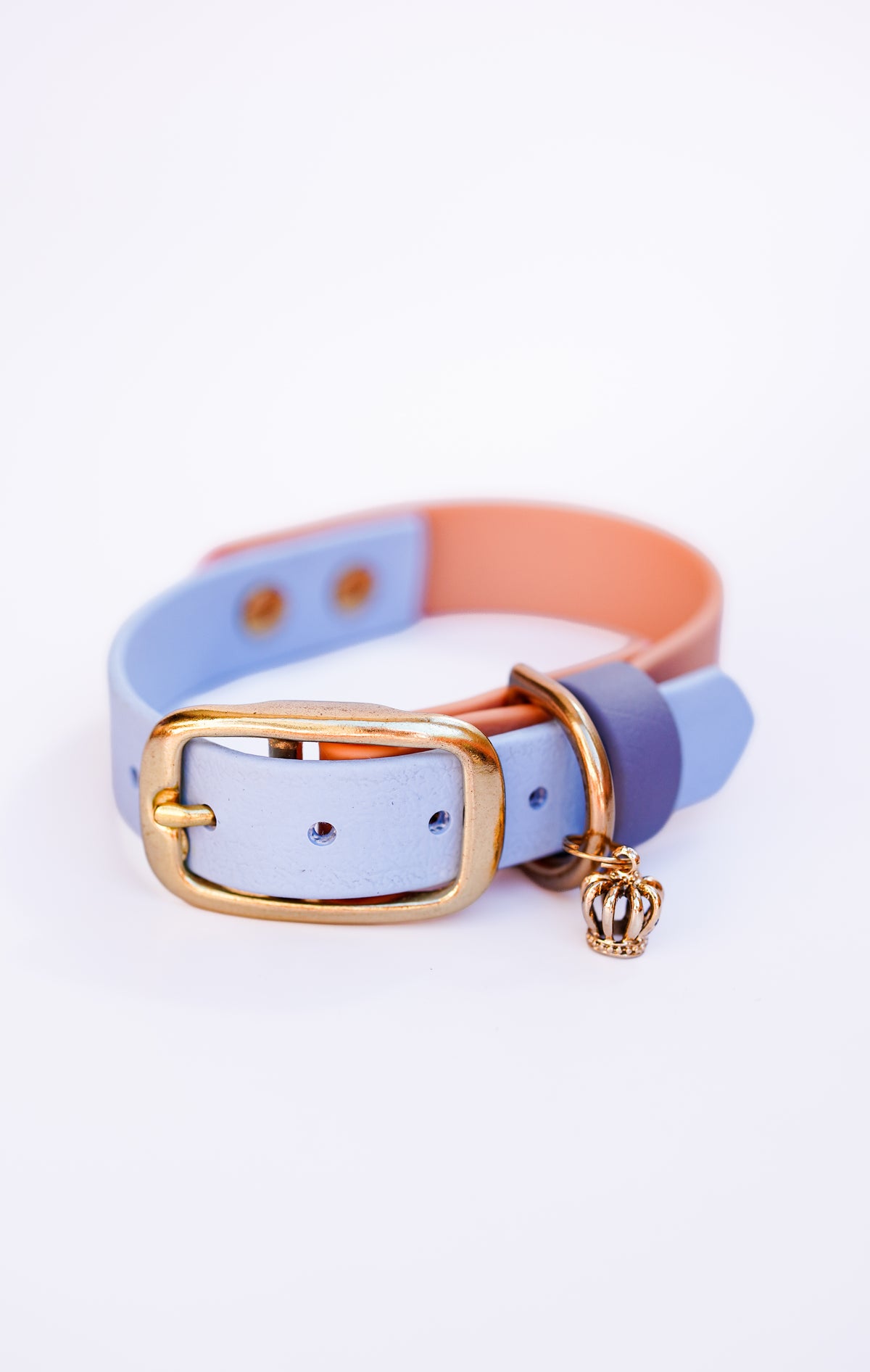 Flat collar/  25-30cm / P Blue & Sable
